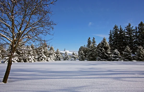 Country winter scene — Stock Photo, Image
