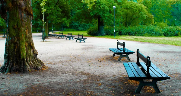Zakochać się w publicznym parku — Zdjęcie stockowe