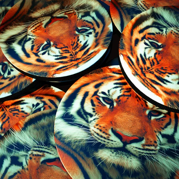 Tiger printed on plates — Stock Photo, Image
