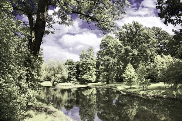 赤外線の森の湖 — ストック写真