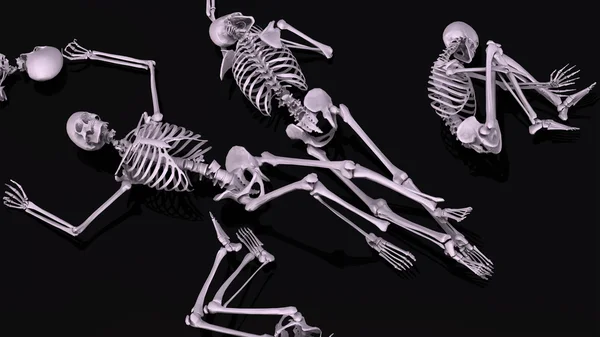 Menselijke skeletten — Stockfoto