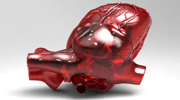 Модель штучного людського серця — стокове фото