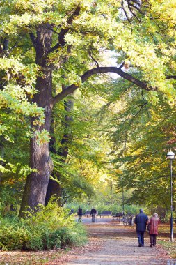 Parktaki yaşlı çift.