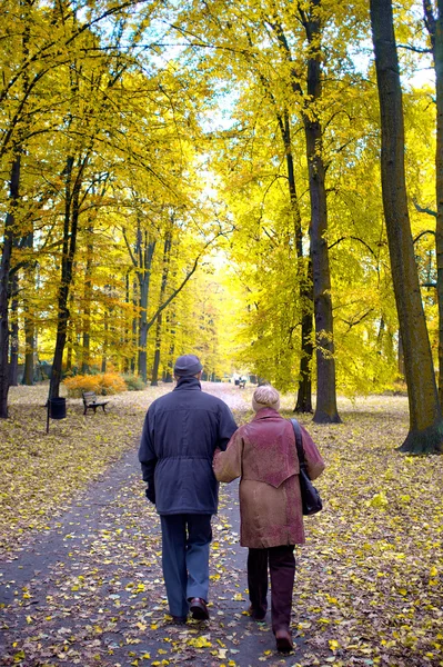 stock image Senior couple in the park