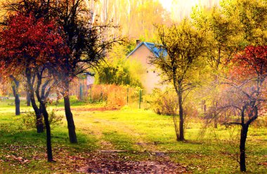 ülkede yol ile Polonya Köyü