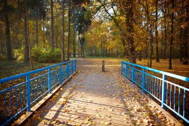 Blue bridge in the forest clipart