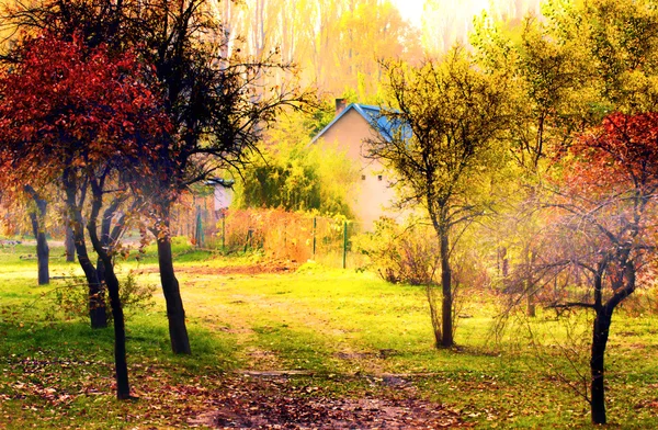 stock image Country road through village in Poland