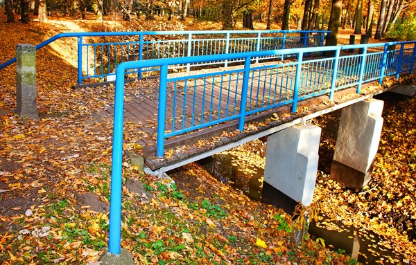 Blue bridge in the forest — Stock Photo, Image