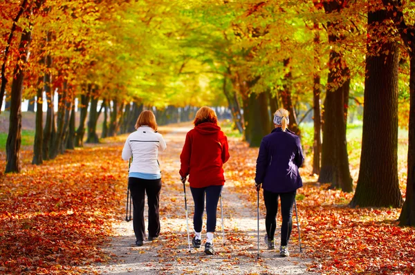 Tres mujeres en el parque - Caminata nórdica — Foto de Stock