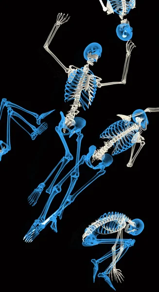 Скелеты — стоковое фото