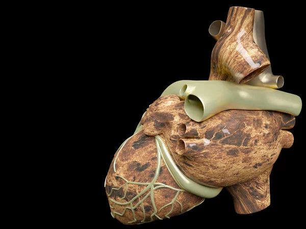 Model van kunstmatige menselijk hart — Stockfoto