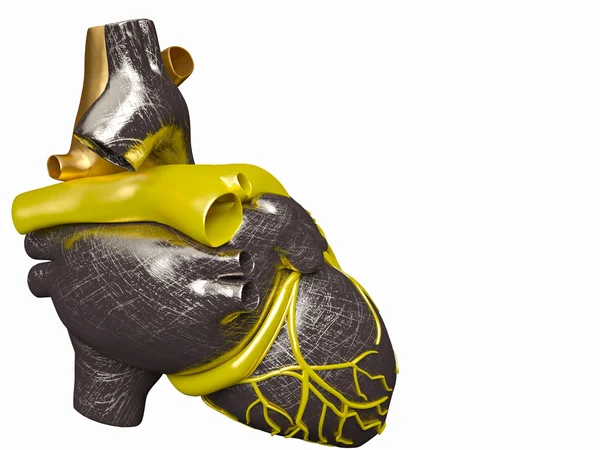 Modelo de corazón humano artificial —  Fotos de Stock