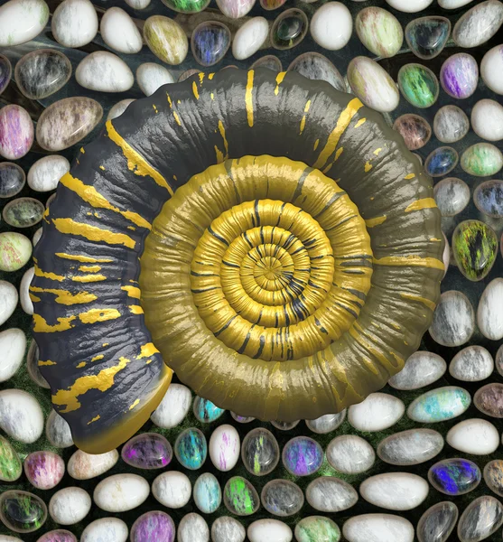 Ammonit ıslak renkli taş — Stok fotoğraf