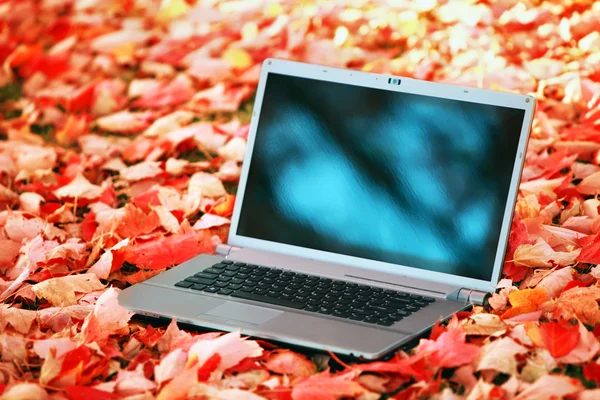 stock image Autumn shopping