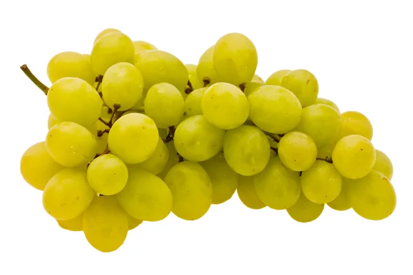 Őszi szőlő — Stock Fotó