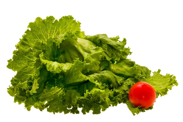 Листя салату і помідорами — стокове фото