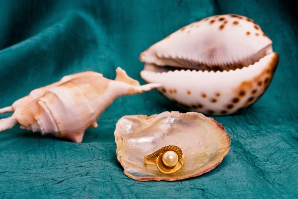 Pearl ile ring — Stok fotoğraf