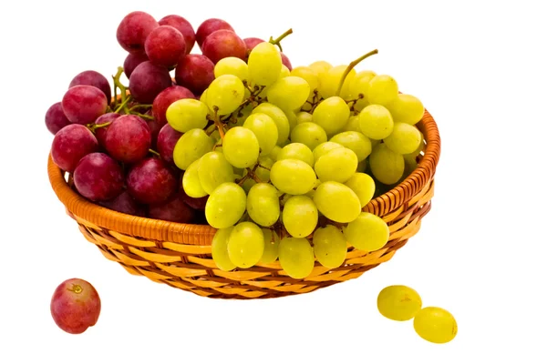 Jesień winogron — Zdjęcie stockowe