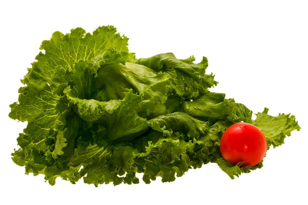 生菜和番茄 — 图库照片