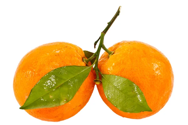 Narancs Stock Fotó