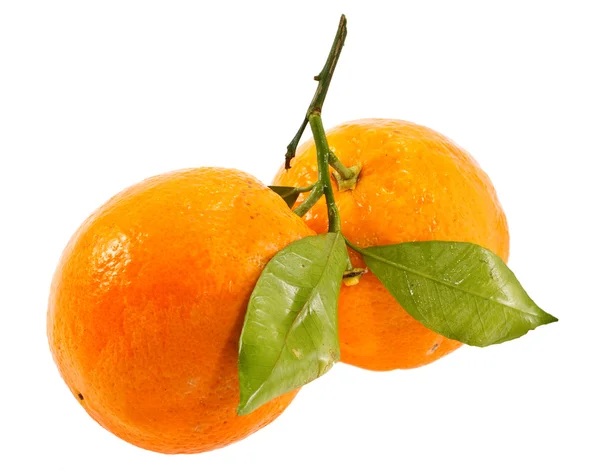 Orangen Stockbild
