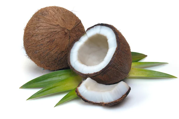 Kokos z liści — Zdjęcie stockowe