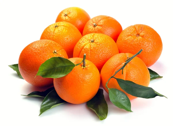 Grupo laranja — Fotografia de Stock