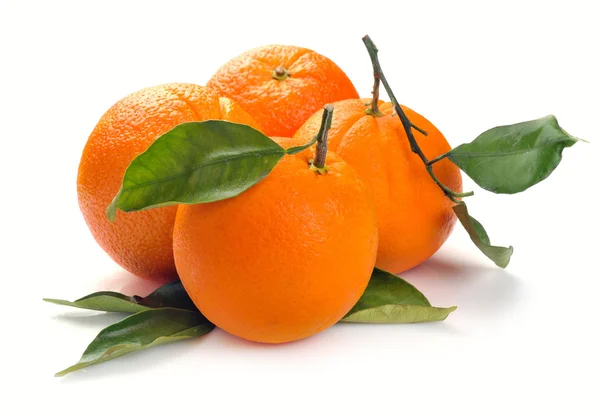 Gruppo arancione — Foto Stock