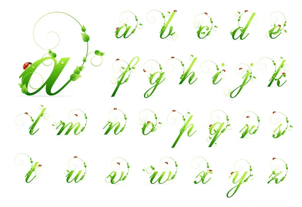 Ökologie Grünes Schriftalphabet mit Blättern und Marienkäfer — Stockvektor