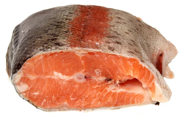 stock image Fish salmon