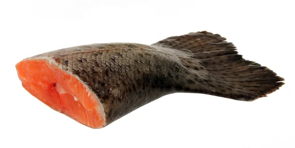 Salmón de pescado —  Fotos de Stock