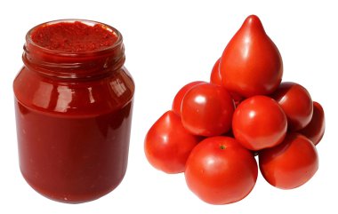 Tomato paste clipart