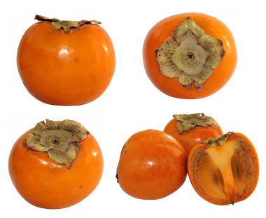 Persimmons clipart