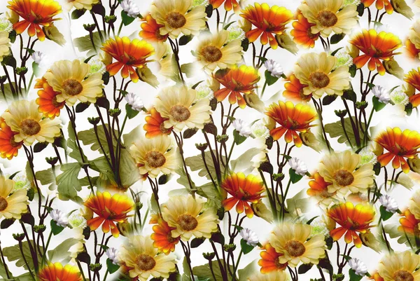 Blumentapete — Stockfoto