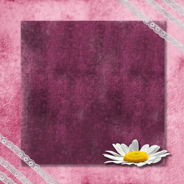 Romantisk rosa bakgrund med en daisy — Stockfoto