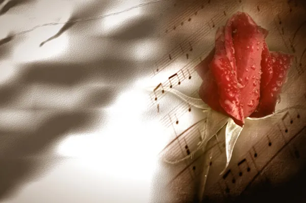 Scheda di musica e romanticismo bocciolo di rosa rossa — Foto Stock