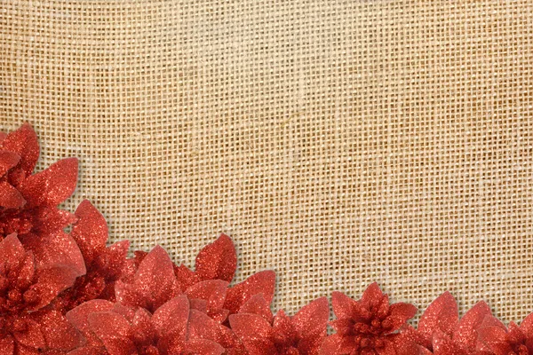 Rustieke achtergrond Kerstmis Poinsettia — Stockfoto