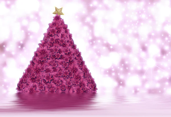 Boże Narodzenie drzewo poinsencji — Zdjęcie stockowe