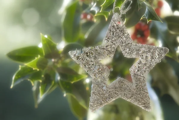 Рождественский фон, серебряная звезда в падубе — стоковое фото