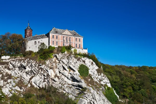 Castle on the cliff — Stock Photo, Image