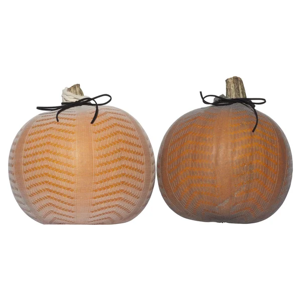 stock image Pumpkin5 white