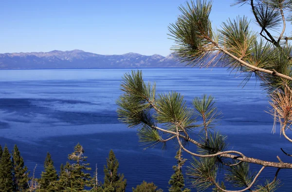 Jezero tahoe — Stock fotografie