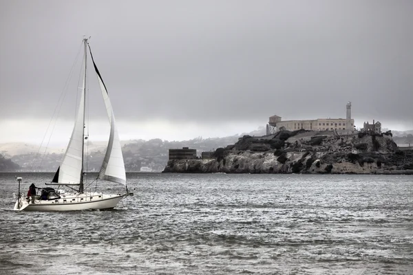 Alcatraz — Stok fotoğraf