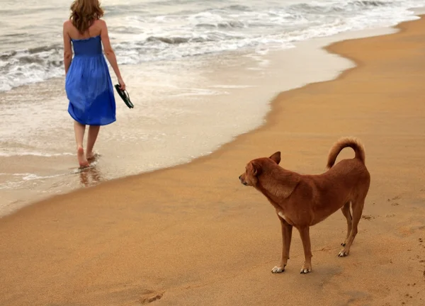 Cão e menina — Fotografia de Stock