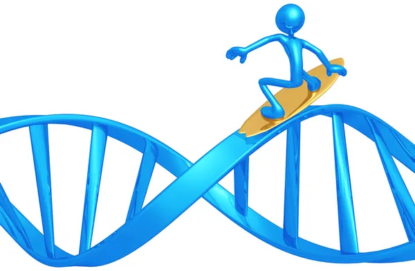 Surfing DNA — Stock Photo, Image