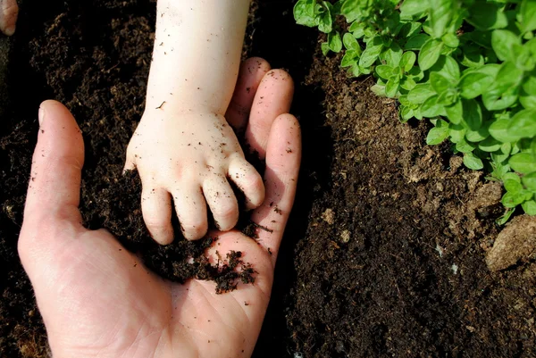 Father and daughter hands play with soil in the garden — Stock Photo, Image