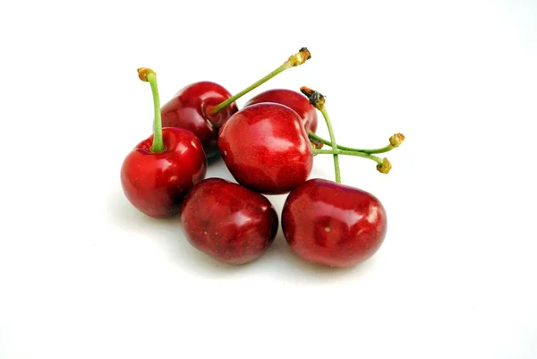 Stock image Red cherries on white background