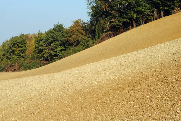 Pole zasiane z pszenicy w pola uprawne wzgórza Toskanii — Zdjęcie stockowe