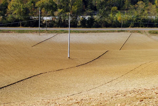 Field sown with wheat in Tuscany hill farmlands — Stock Photo, Image