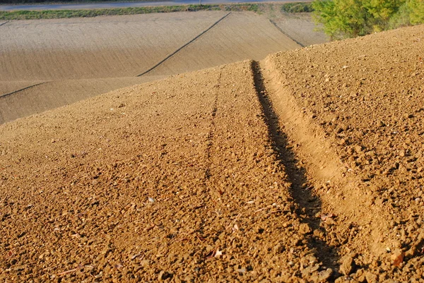 Campo sembrado con trigo en tierras de labranza Toscana —  Fotos de Stock